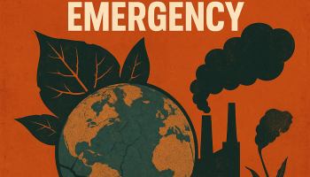 History facing the ecological emergency