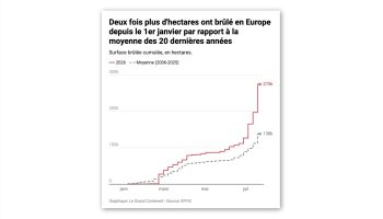 Twice as Many Hectares Burned in Europe This Year Compared to the Past 20 Years