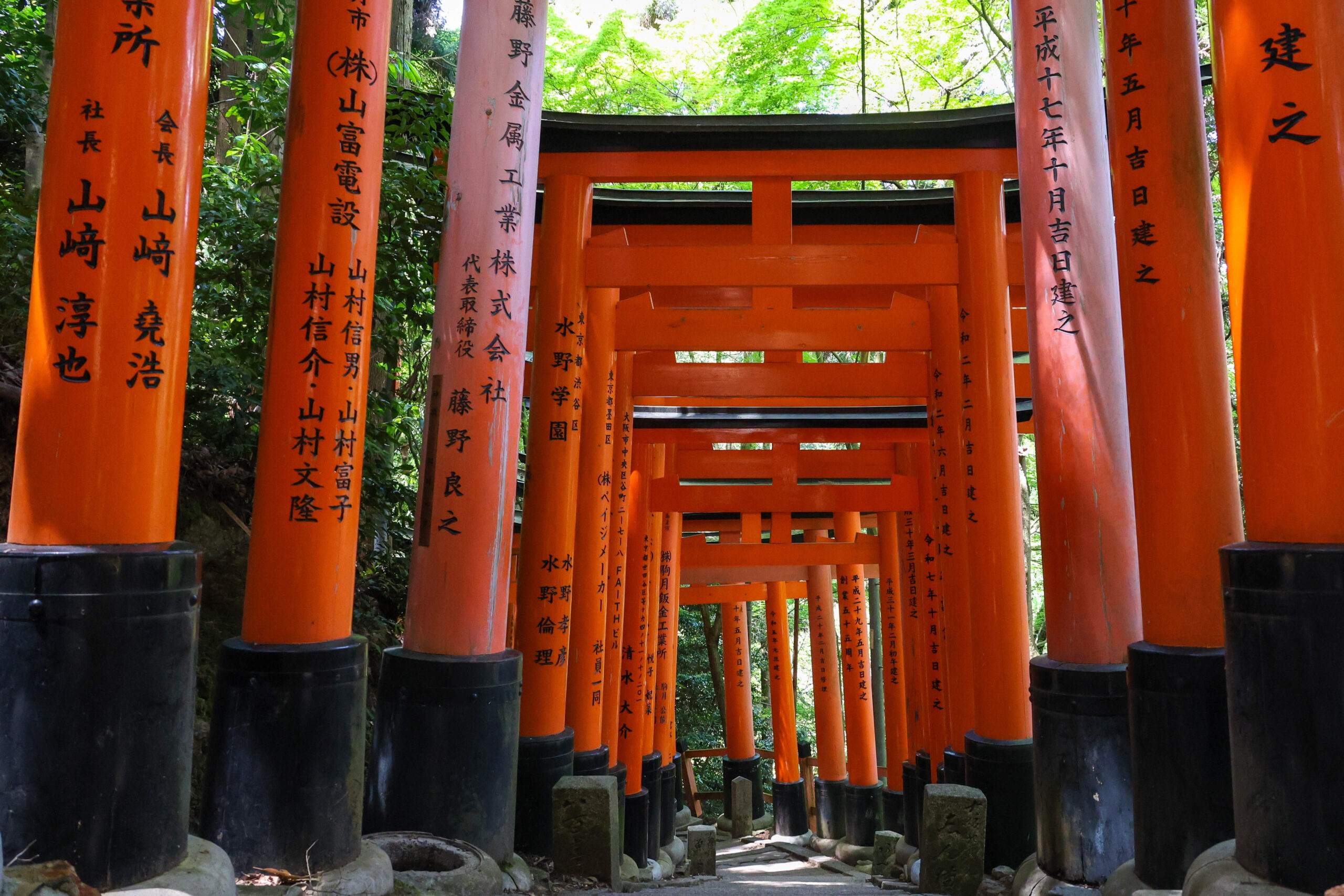 Vue d'un torii sur le chemin du sanctuaire Fushimi Inari-Taisha.