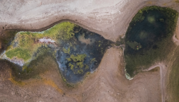 The Planet Is Burning: The Media Look Elsewhere