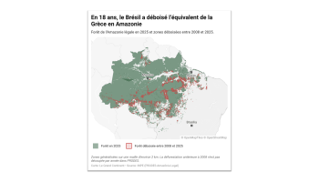 In Brazil, Flávio Bolsonaro’s Victory Could Reignite Amazon Deforestation
